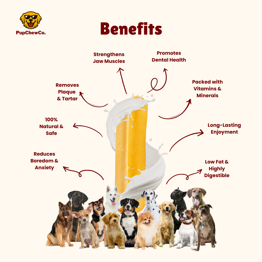 Himalayan Dog Chew - XL pack of 3 | 100% Natural Dental Chew