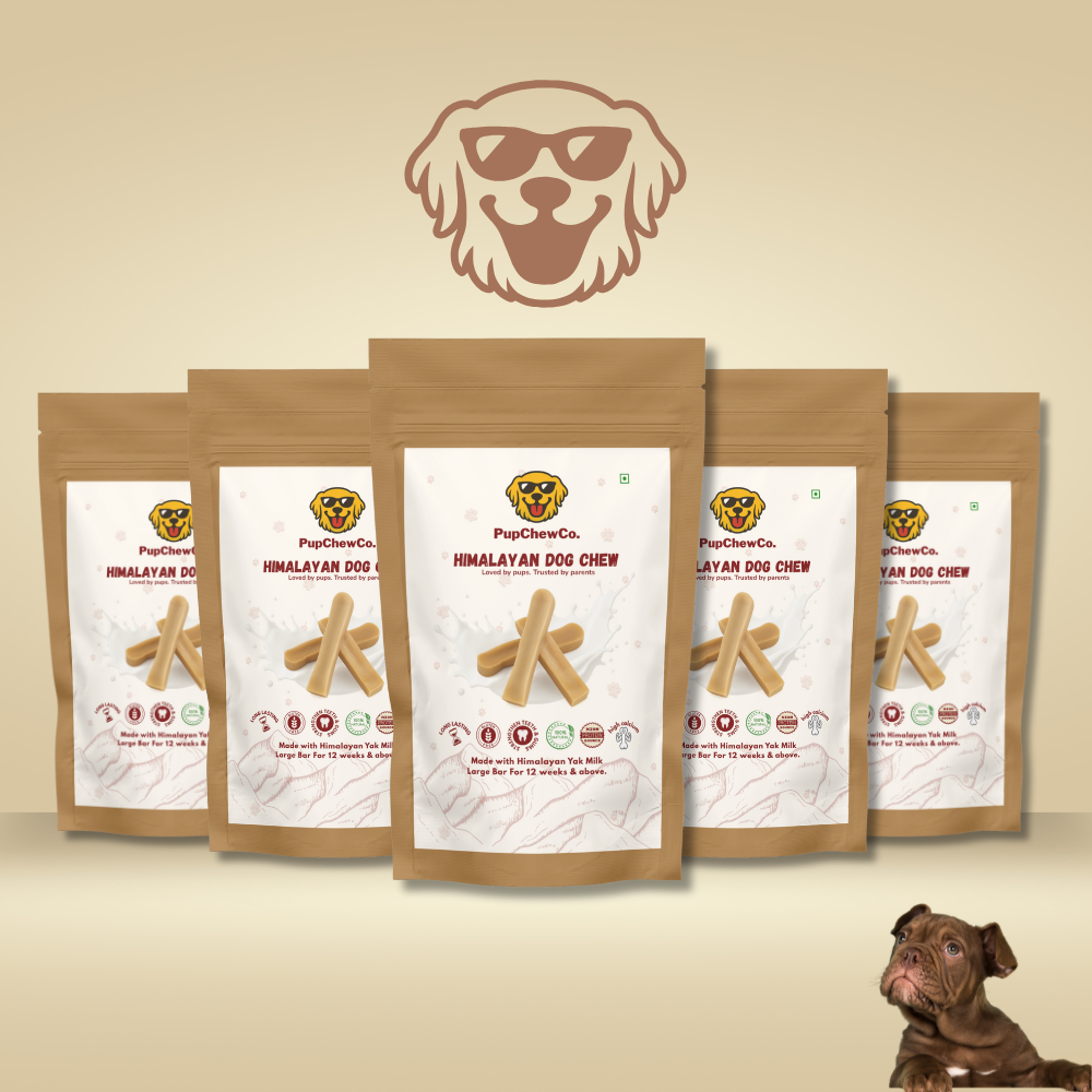Himalayan Dog Chew - Large | 100% Natural Dental Chew