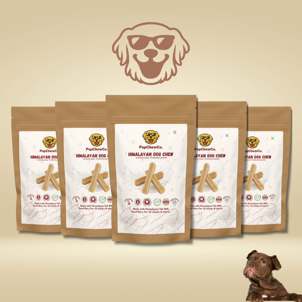 Himalayan Dog Chew - Small | 100% Natural Dental Chew