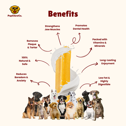 Himalayan Dog Chew - XL pack of 3 | 100% Natural Dental Chew