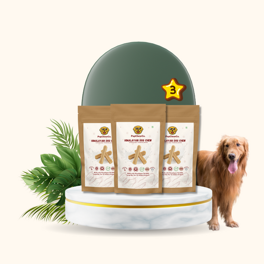Himalayan Dog Chew - Large pack of 3 | 100% Natural Dental Chew
