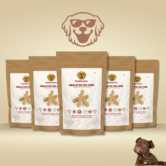Himalayan Dog Chew - Large pack of 5 | 100% Natural Dental Chew