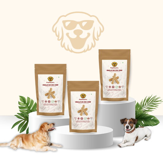 Himalayan Dog Chew - Medium Pack Of 3 | 100% Natural Dental Chews