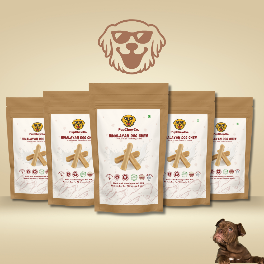 Himalayan Dog Chew - Medium | 100% Natural Dental Chew
