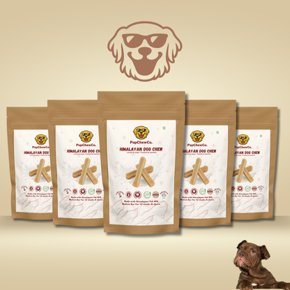 Himalayan Dog Chew - Medium | 100% Natural Dental Chew