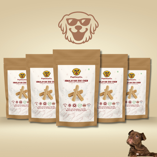 Himalayan Dog Chew - Medium Pack Of 5 | 100% Natural Dental Chews