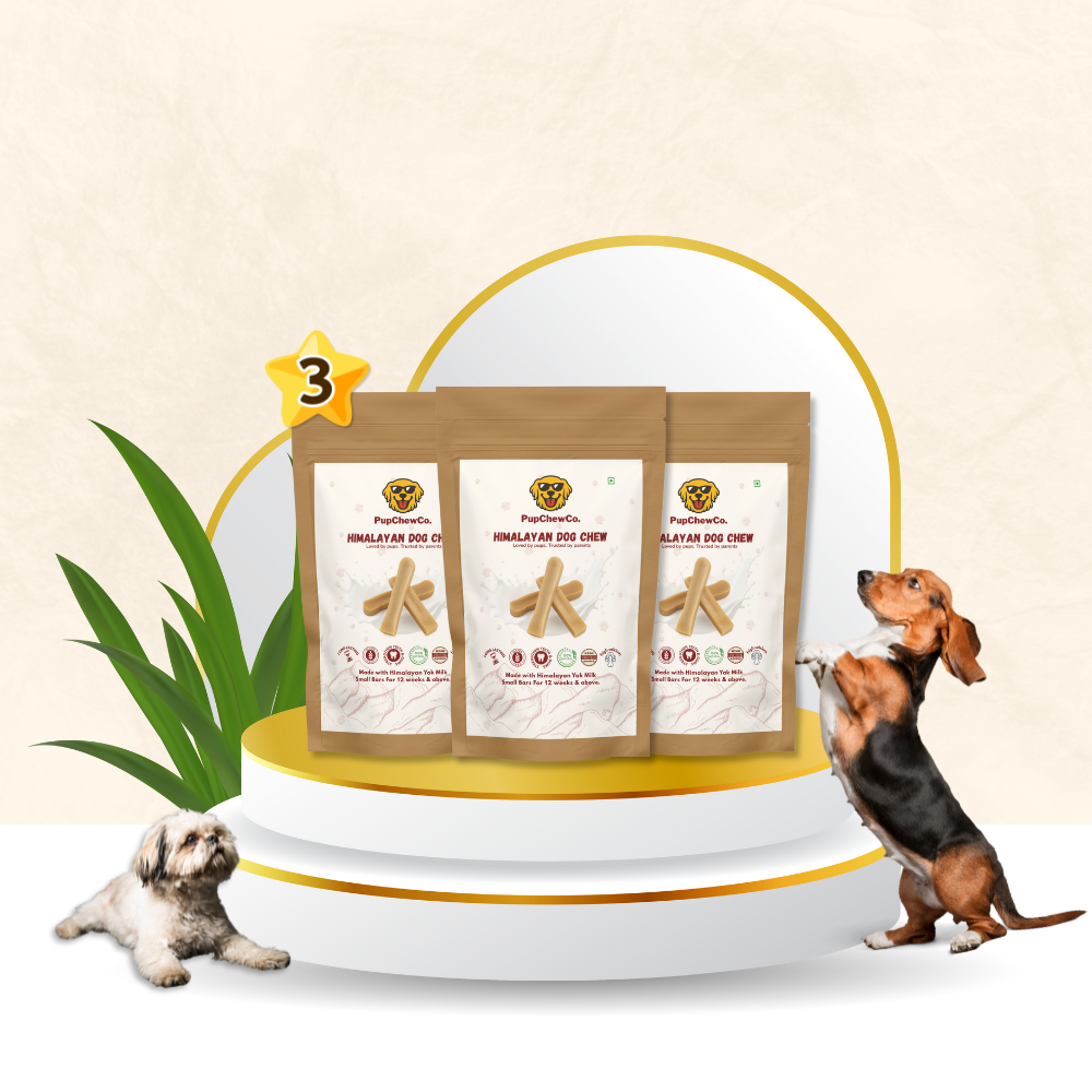 Himalayan Dog Chew - Small Pack of 3 | 100% Natural Dental Chew
