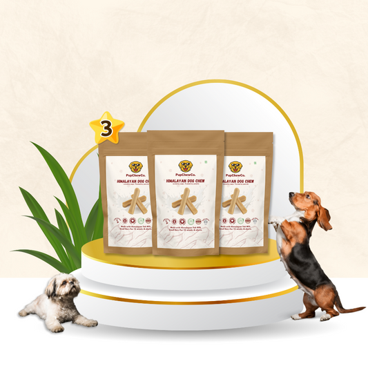 Himalayan Dog Chew - Small Pack of 3 | 100% Natural Dental Chew