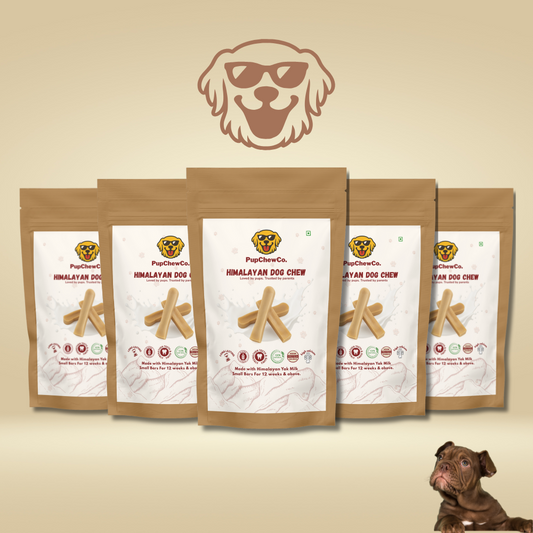 Himalayan Dog Chew - Small Pack of 5 | 100% Natural Dental Chew