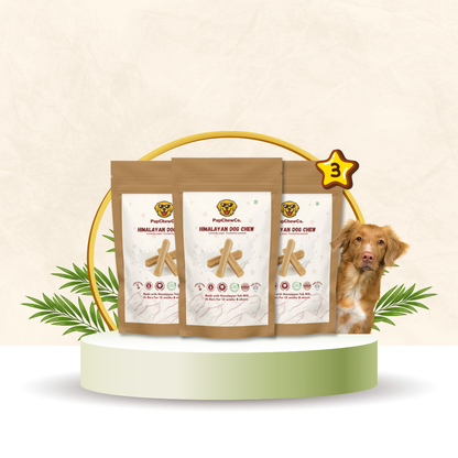 Himalayan Dog Chew - XL pack of 3 | 100% Natural Dental Chew