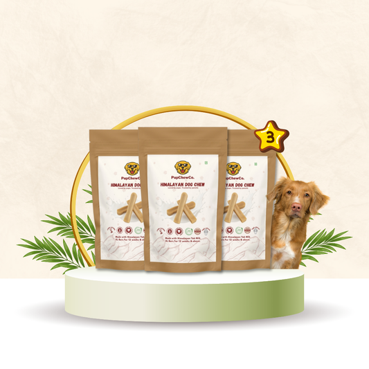 Himalayan Dog Chew - XL pack of 3 | 100% Natural Dental Chew