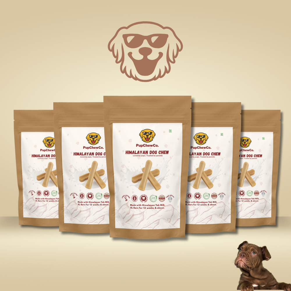 Himalayan Dog Chew - XL pack of 5 | 100% Natural Dental Chew