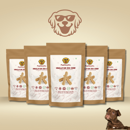 Himalayan Dog Chew - XL pack of 5 | 100% Natural Dental Chew